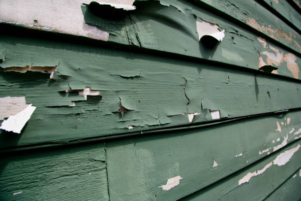 Affordable Siding Repair and Maintenance Services in Taft Mosswood, CA